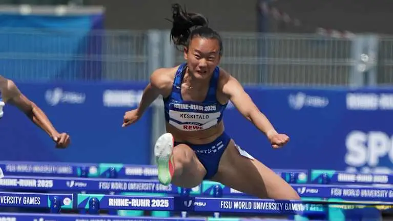 entit, 今年 entit, 今年