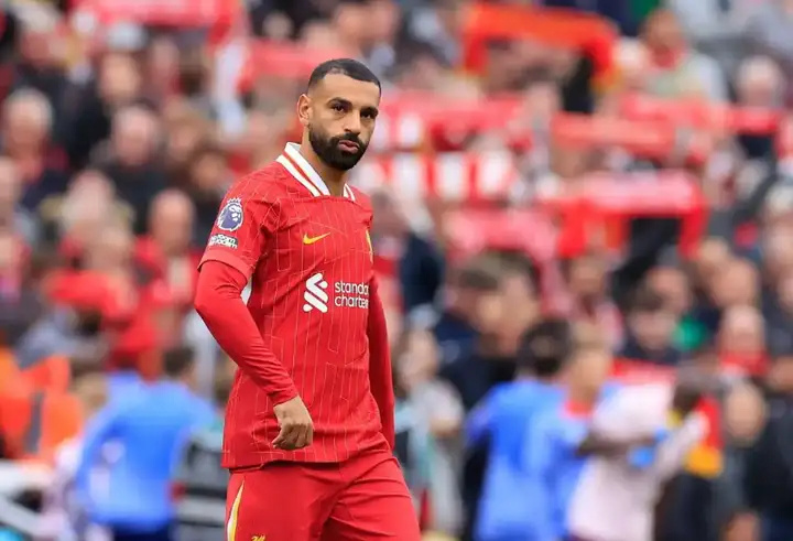 去年的瓜迪 去年的瓜迪